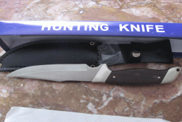 Hunting Knife 